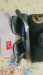 Original Rayban Sunglass